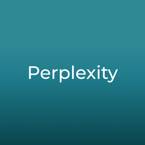 Perplexity